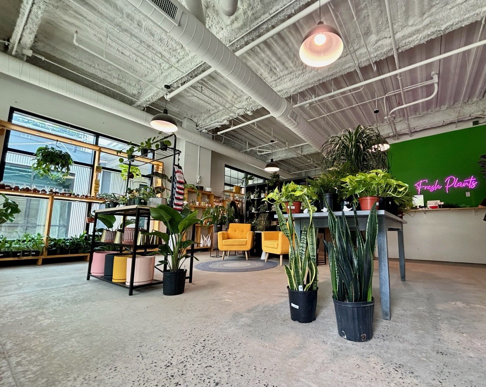 Eye-level view of a local Black-owned restaurant with vibrant outdoor seating